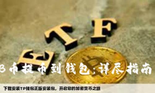 如何将SHIB币提币到钱包：详尽指南与注意事项